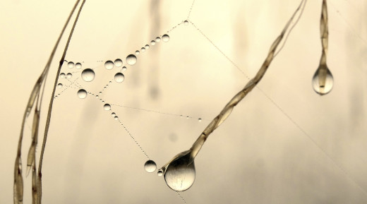 975386 (a): :2264x1258
